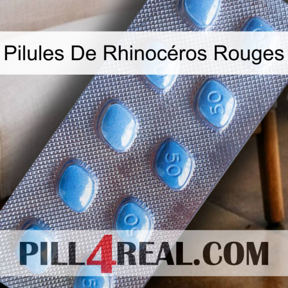 Pilules De Rhinocéros Rouges viagra3